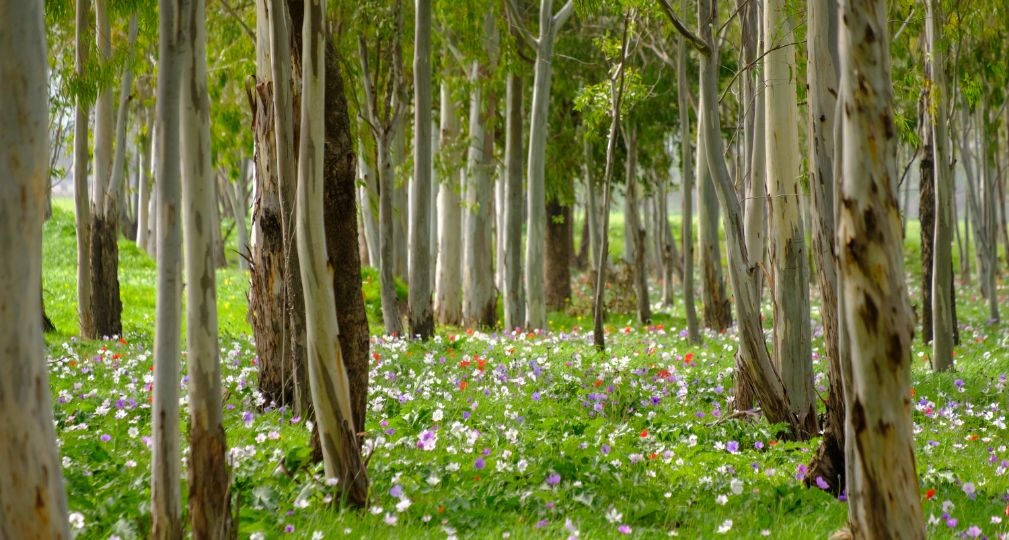 Фото: Shutterstock